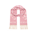 COACH scarf